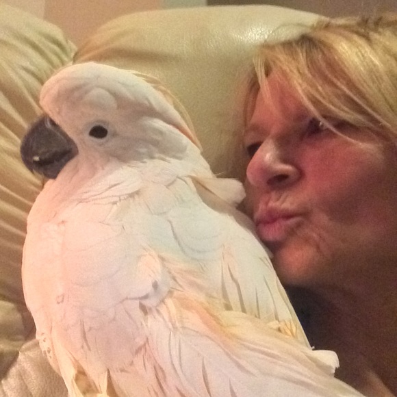 This is my Abigail, Lexi and Crikit - Picture 9 of 13